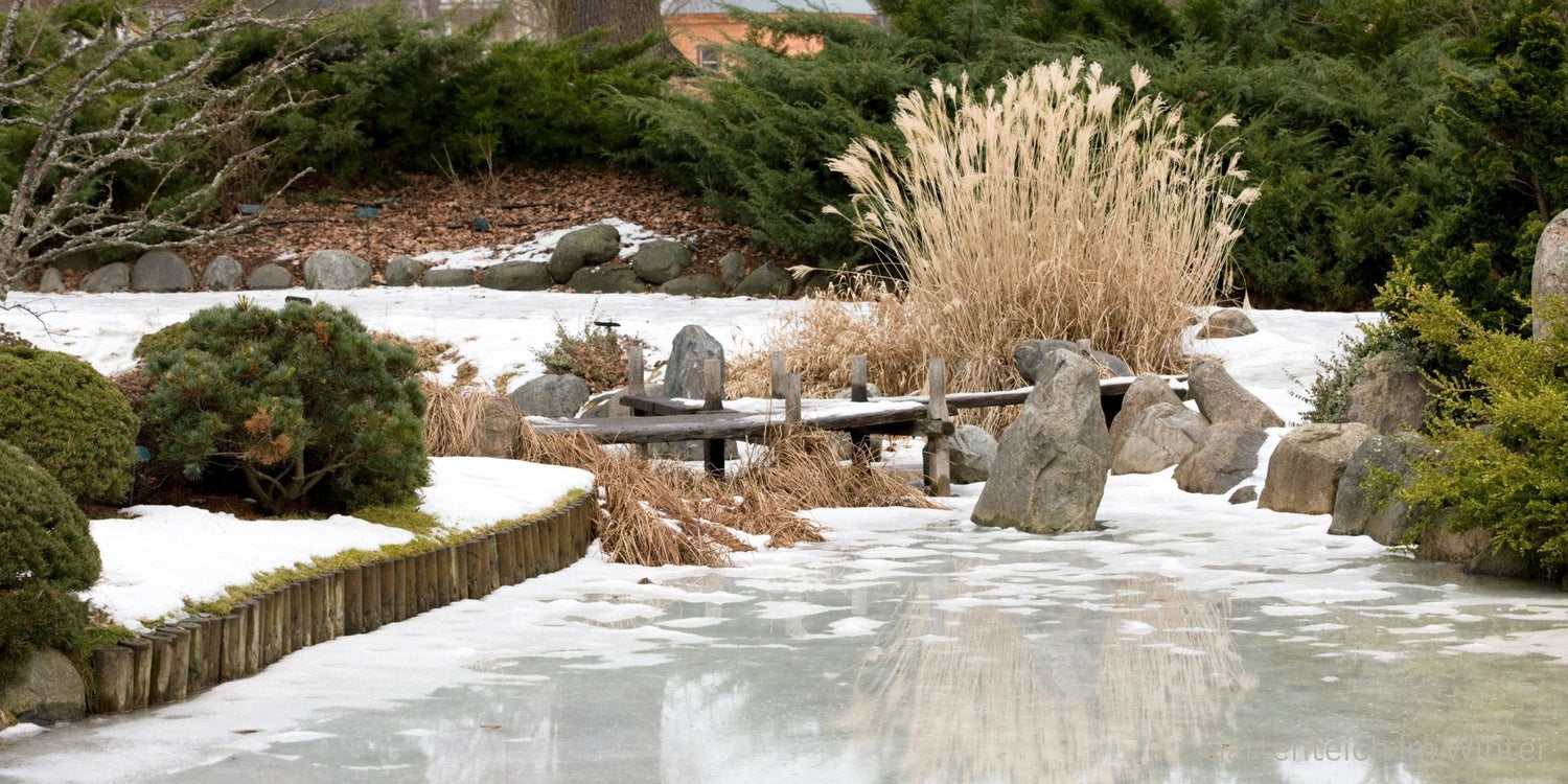 Teichpflege im Herbst und Winter