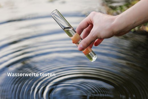 Wasserwerte testen im Teich – warum jeder die Wasserwerte kennen sollte