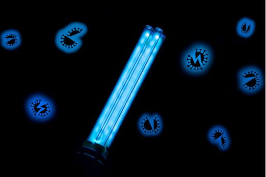 Warum eine UVC-Lampe das Algenwachstum sogar verschlimmert