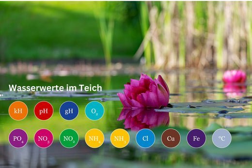 wasserwerte im teich