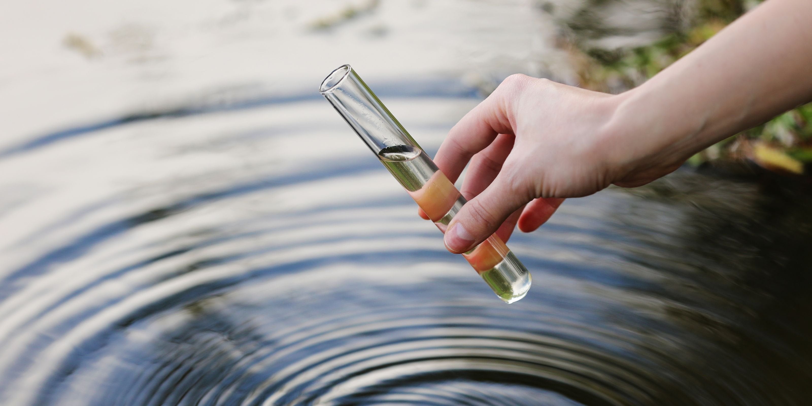 teich wasseranalyse wasserwerte testen