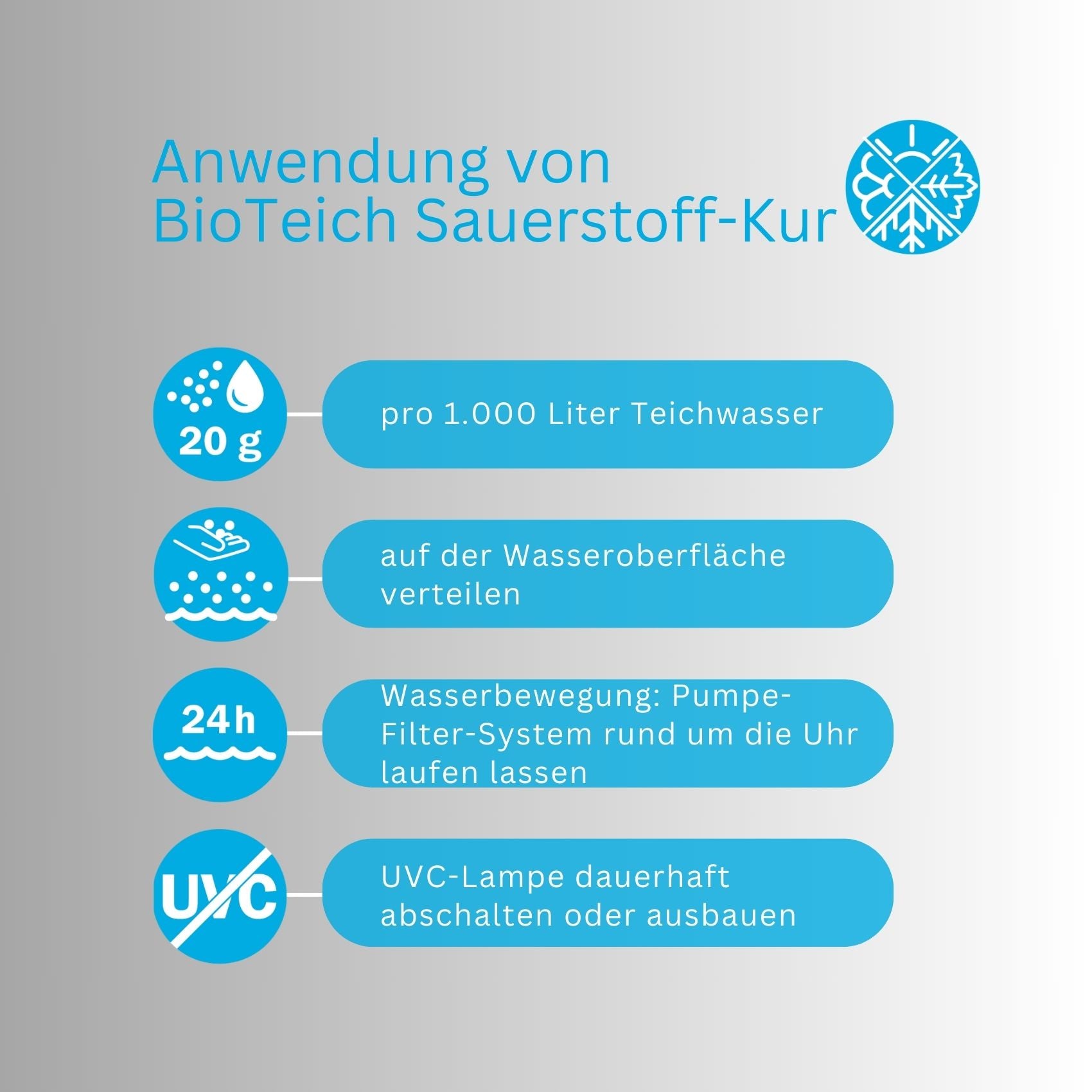 Anwendung BioTeich Sauerstoff-Kur