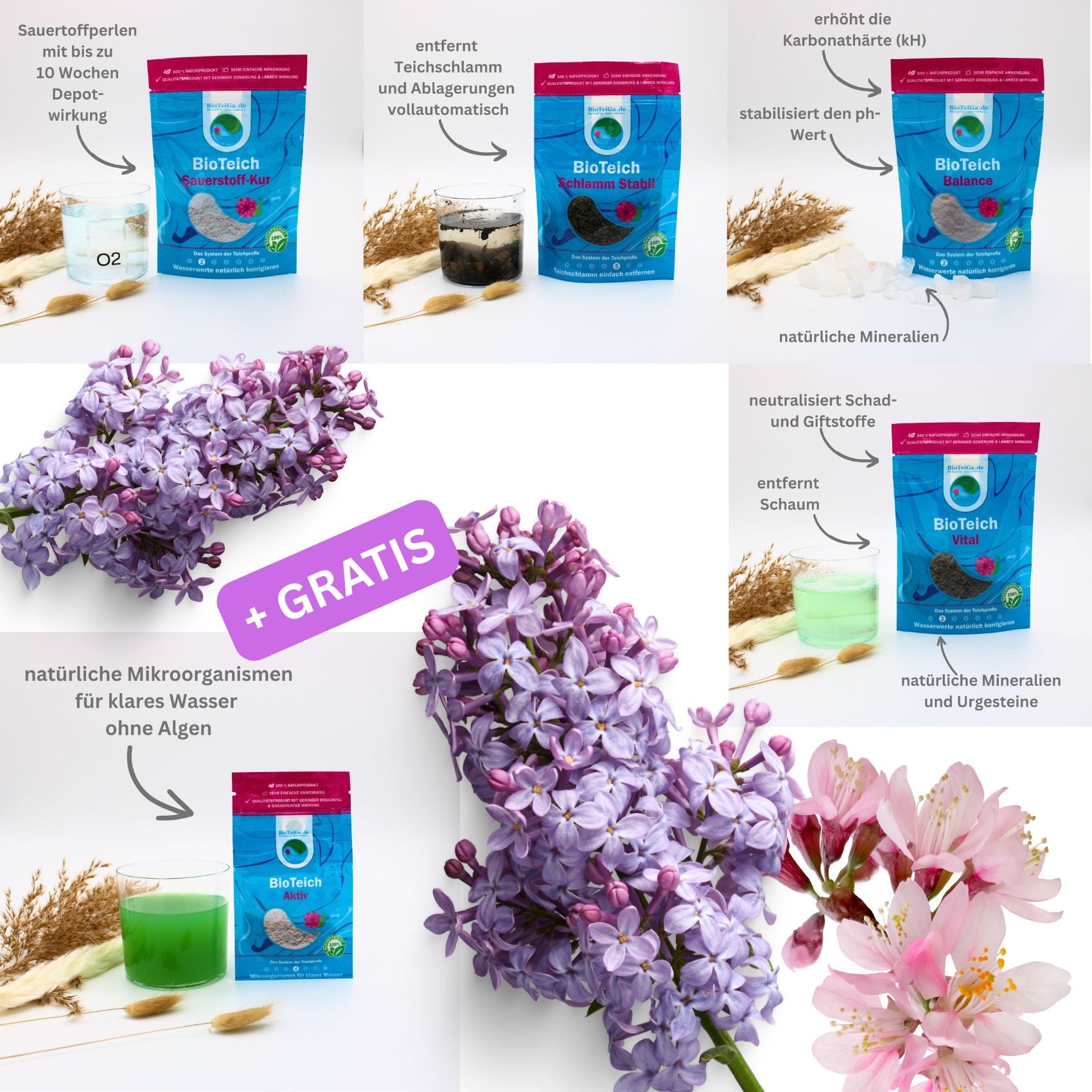 BioTeich Frühling-Set – die beste Teichpflege für das Frühjahr