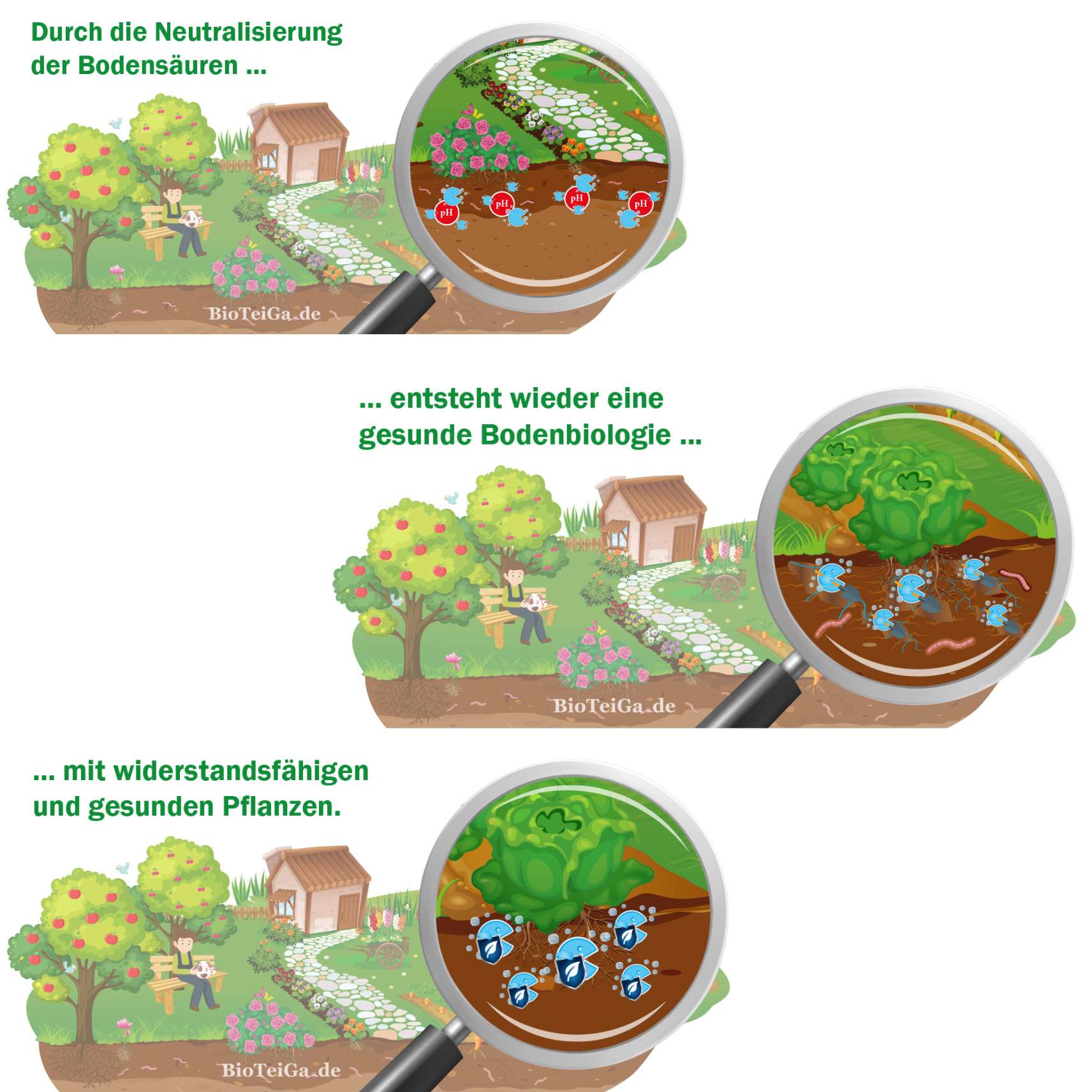 BioGarten Spezial erklärt