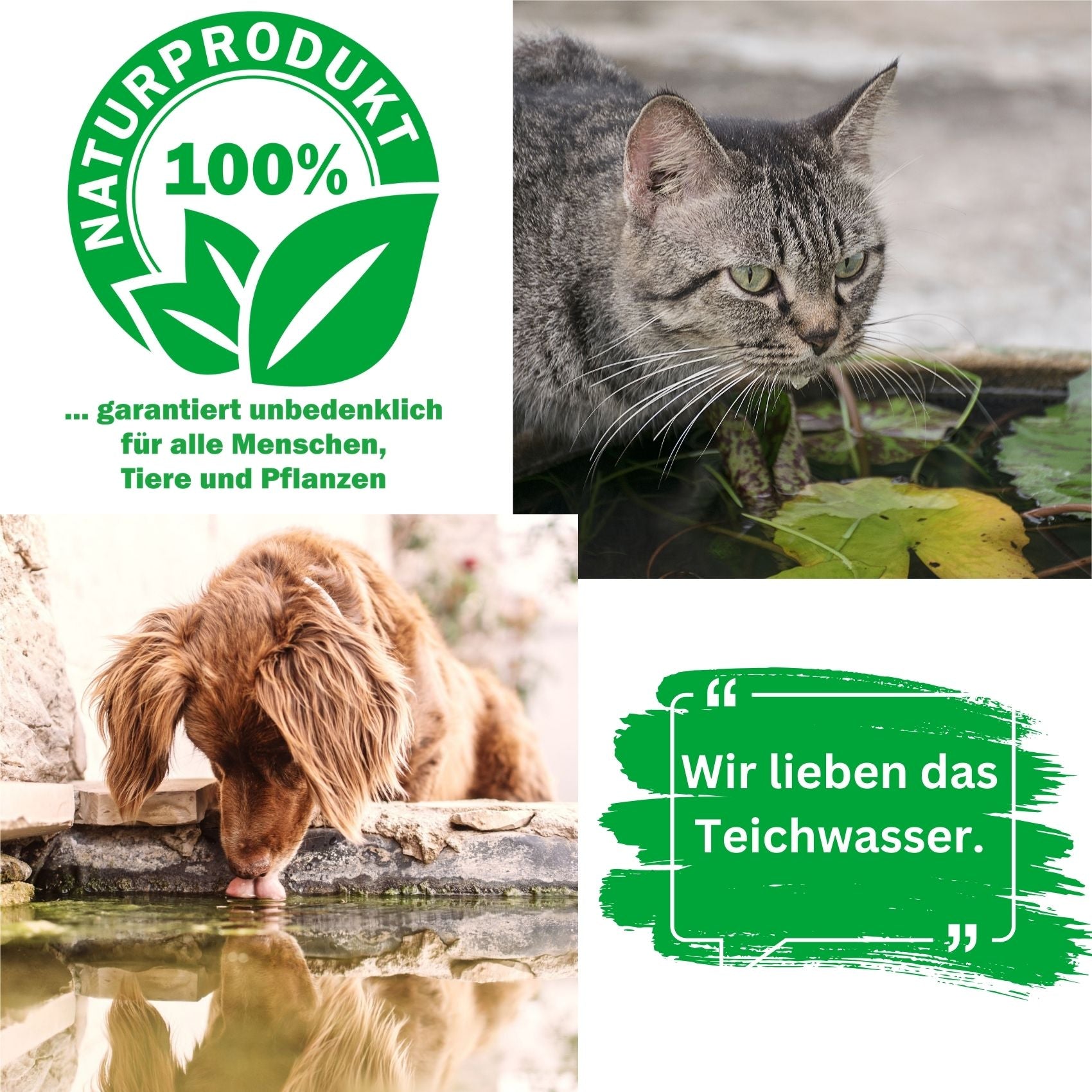 Naturprodukt_Hund_und_Katze_lieben_das_Teichwasser