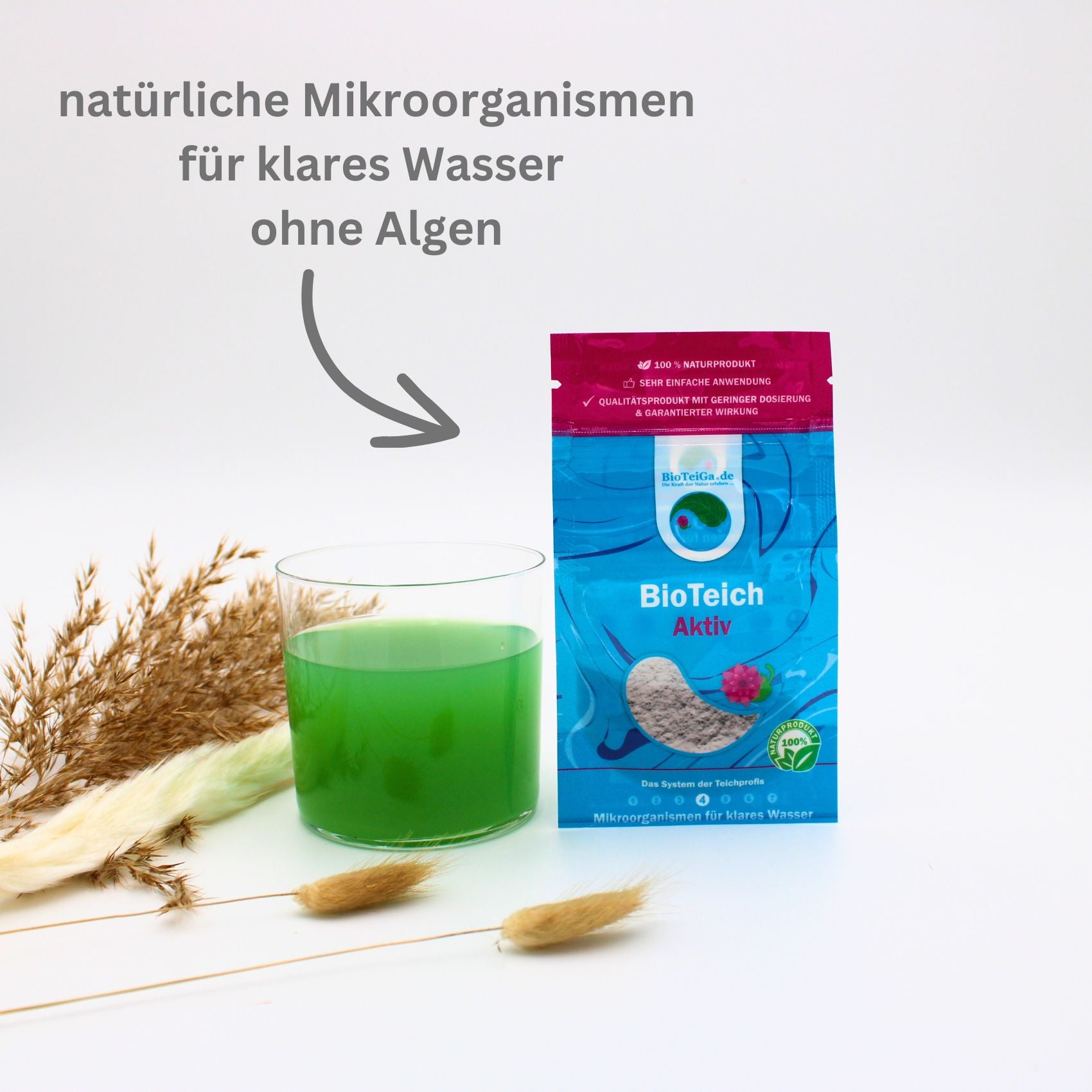 TeichAlgenfrei Bioteich Aktiv
