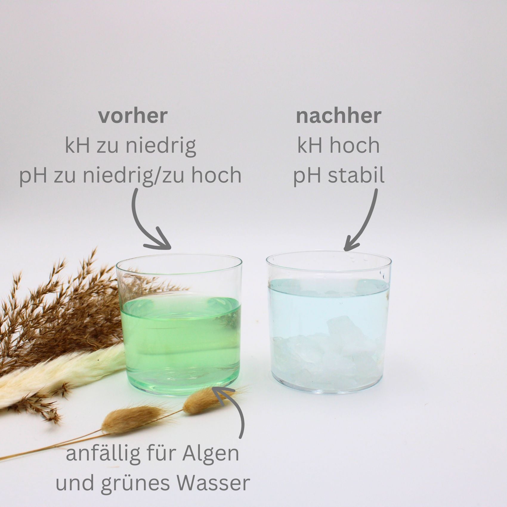wasserwerte teich korrekturmittel pH-wert und karbonathärte im teich anwendung vorher nachher