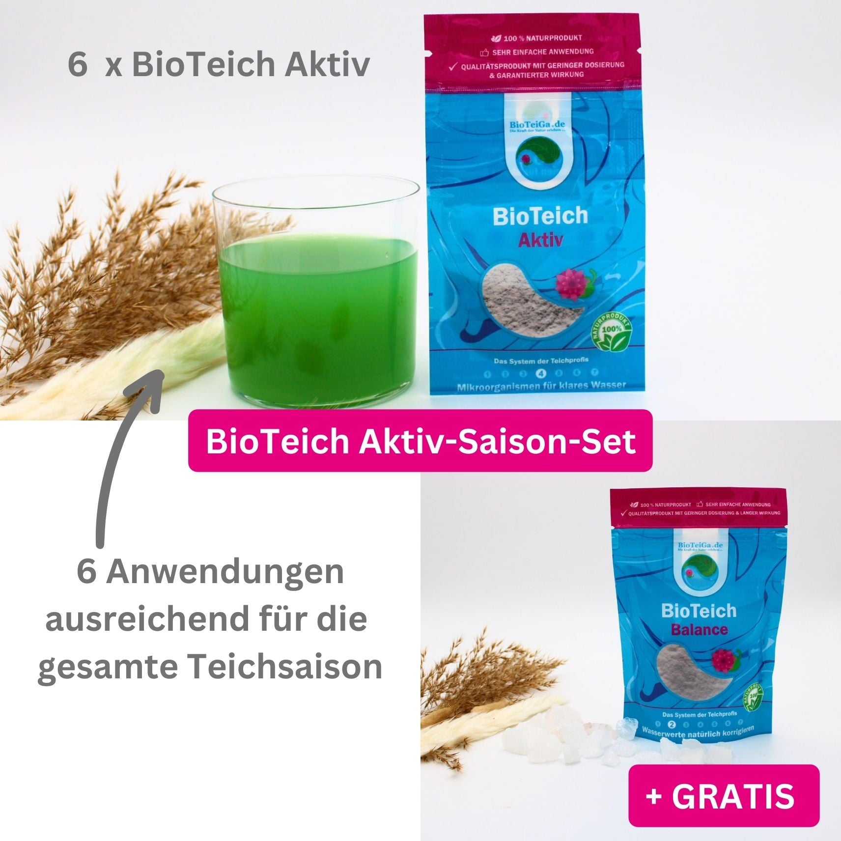 TeichAlgenfrei BioTeich Aktiv SaisonSet