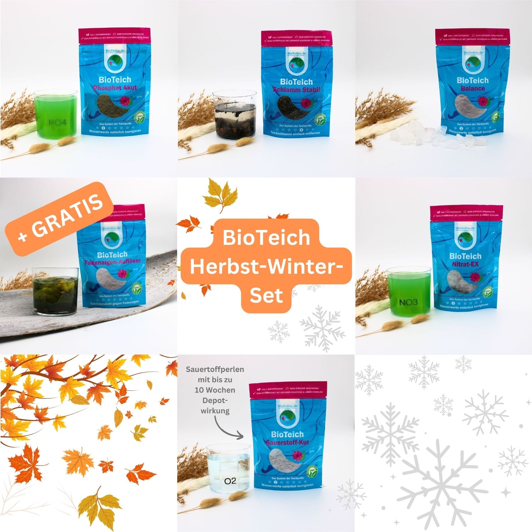 teichpflege herbst winter set