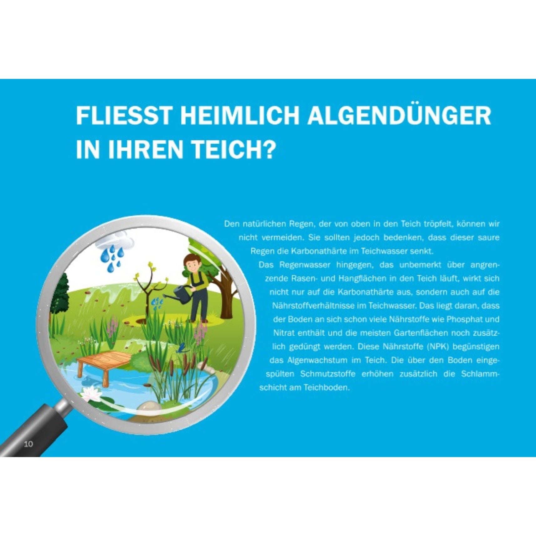 teichpflege praxishandbuch algen im teich