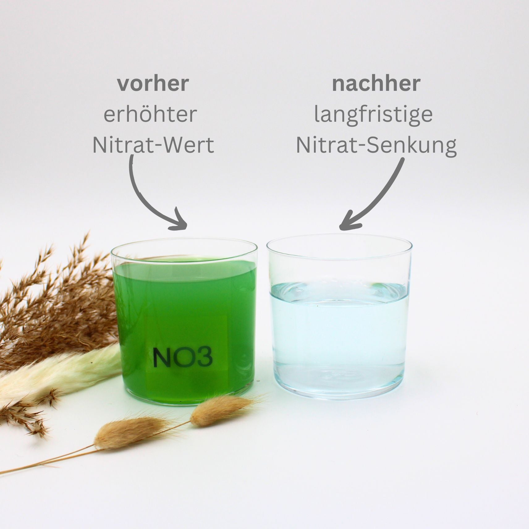 teichfilter filtermaterial nitrat im teich senken nitrat ex vorher nachher