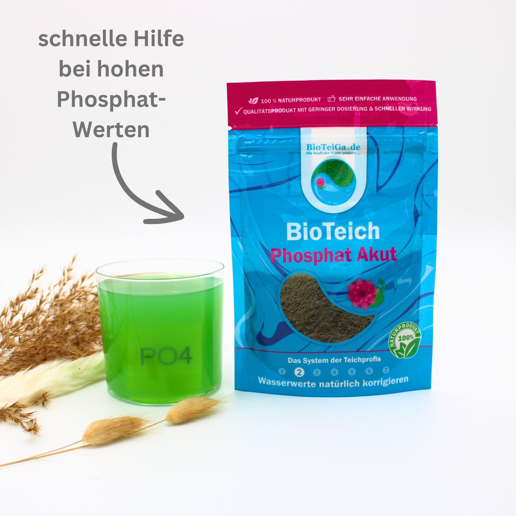phosphat im teich senken phosphat akut