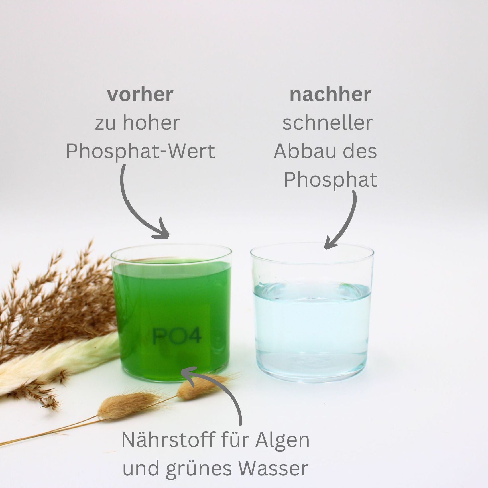 phosphat im teich senken bioteich nitrat ex vorher nachher