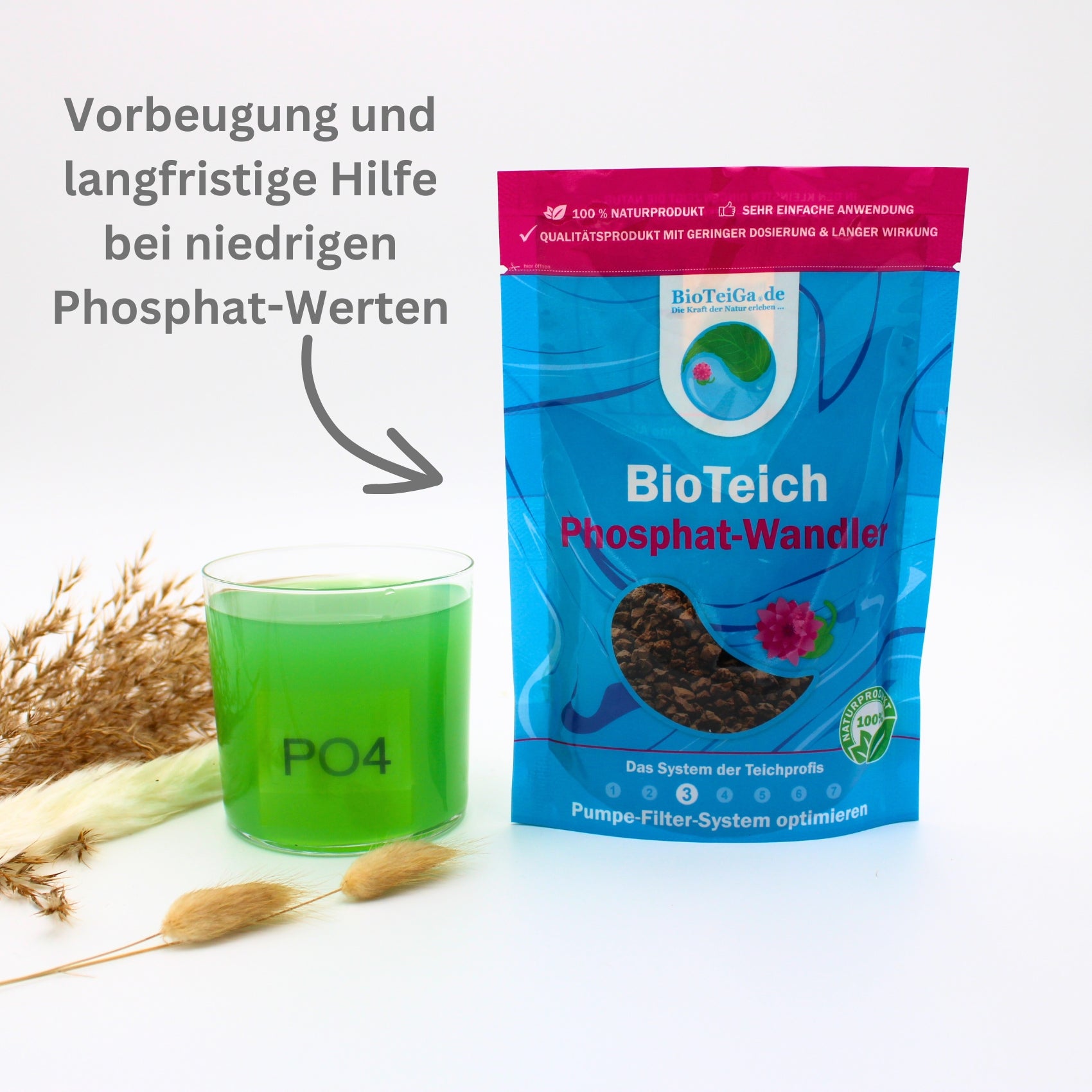 PhosphatWandler ↓ PhosphatWerte im Teich ↓