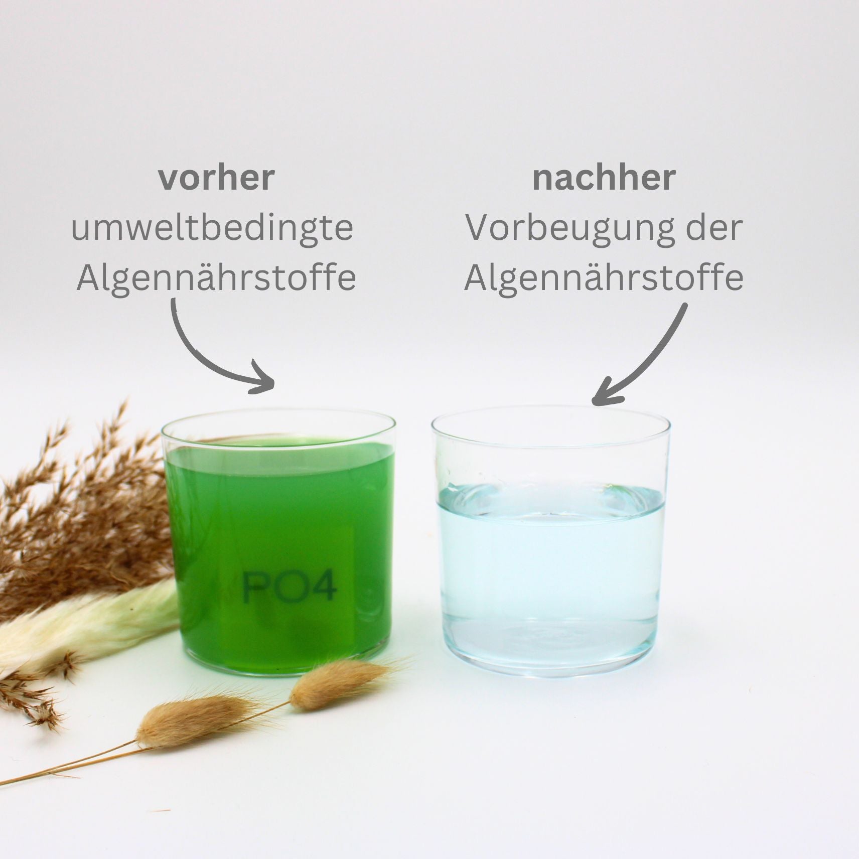 teichfilter filtermaterial phosphat im teich senken phosphat wandler vorher nachher