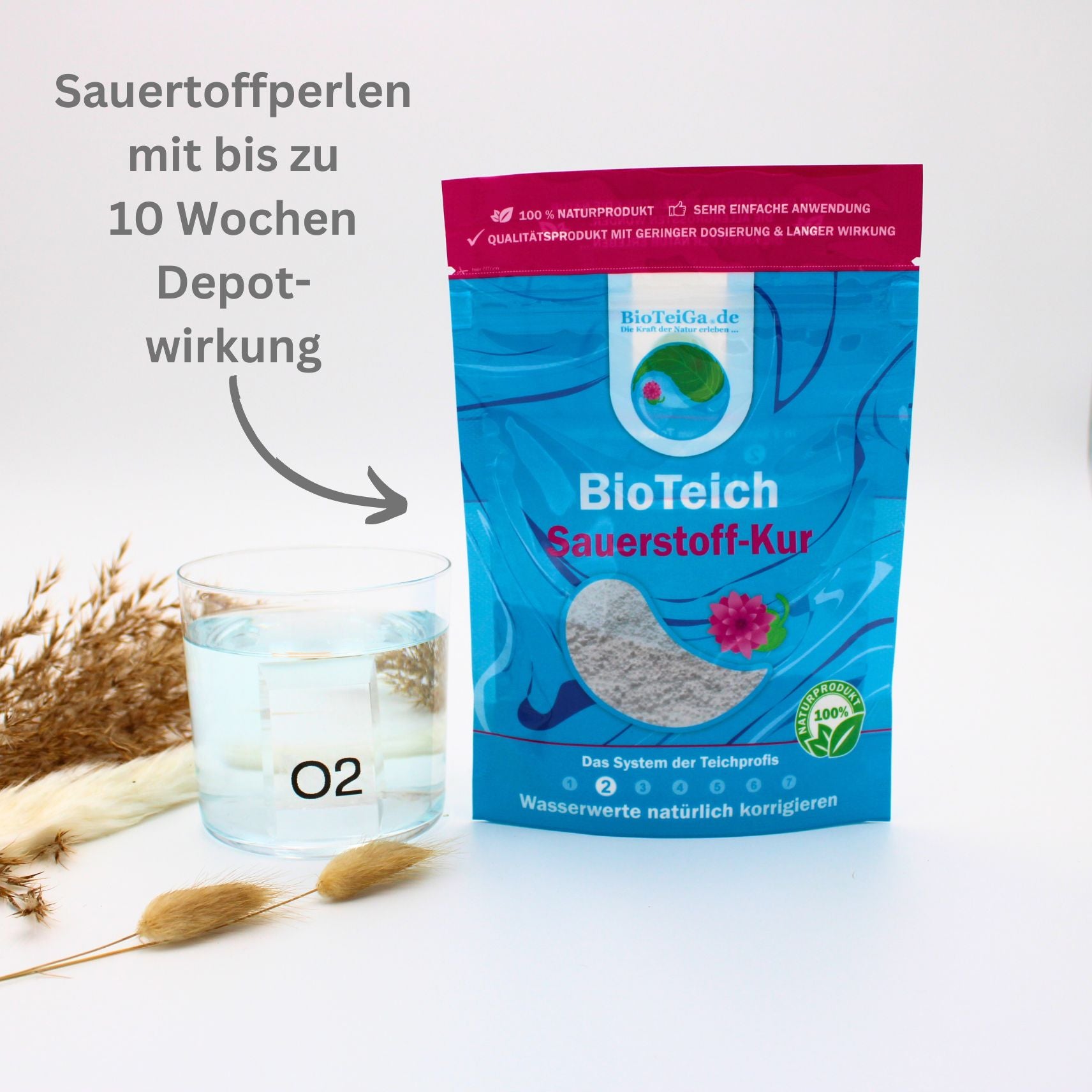 sauerstoffkur teich