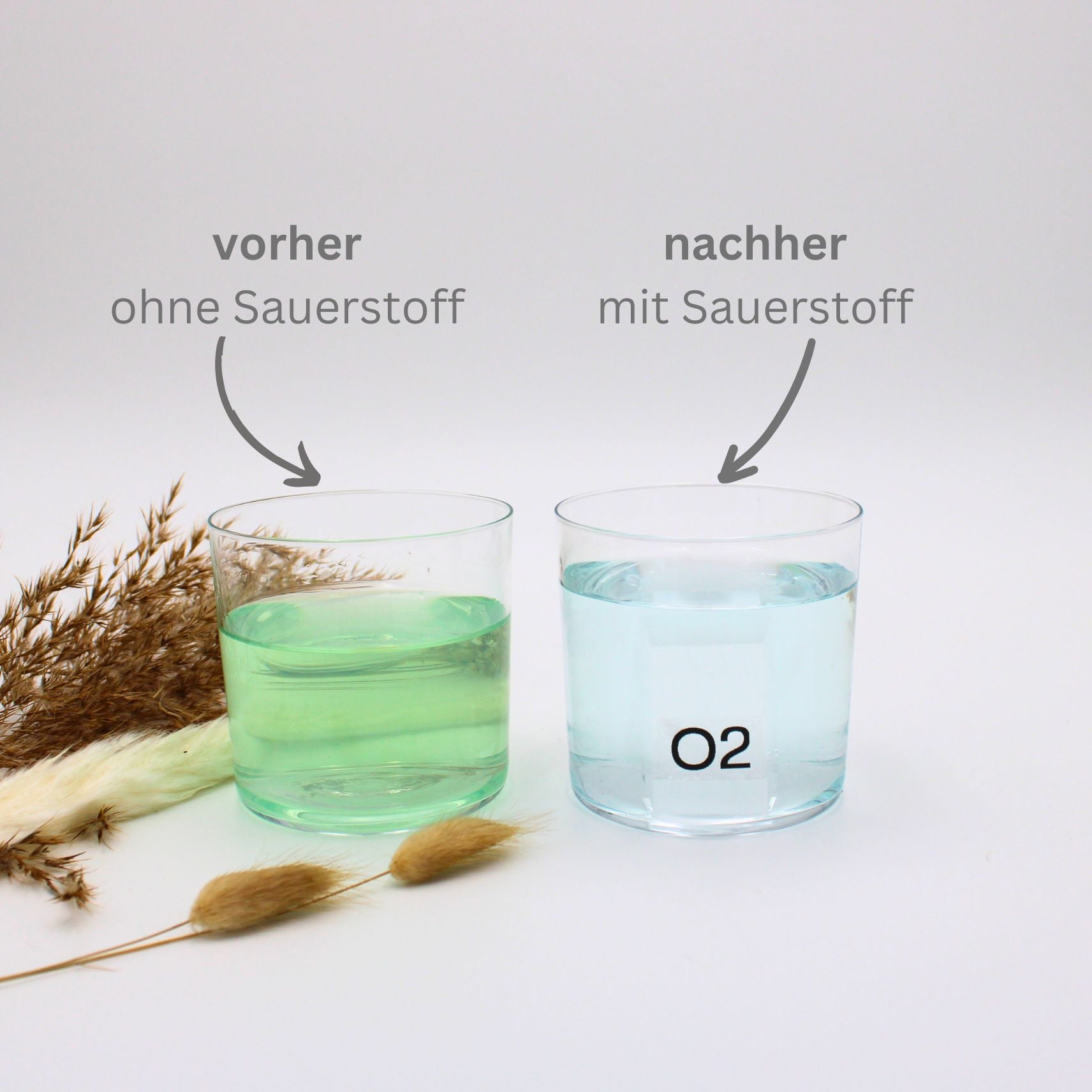 sauerstoffkur teich vorher nachher