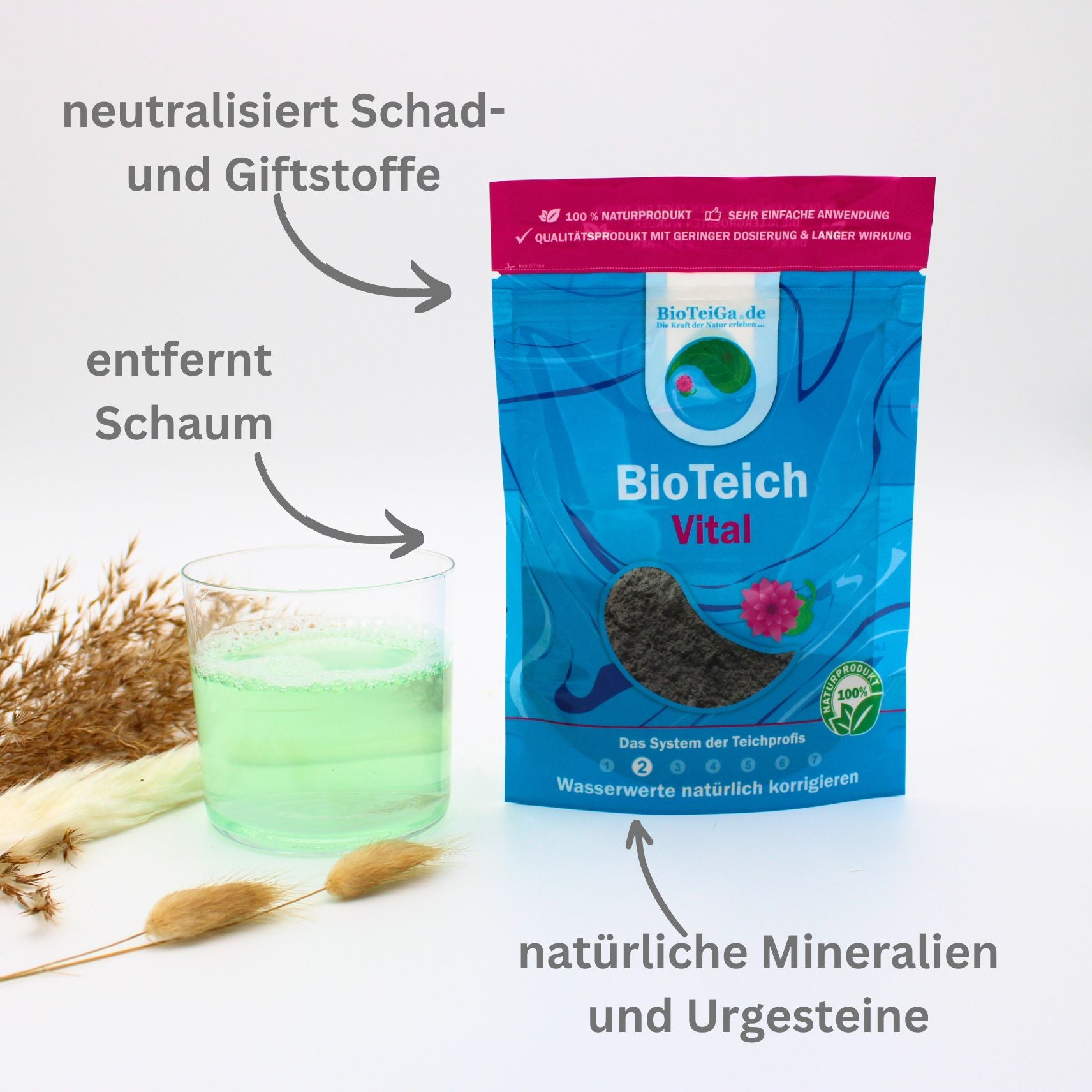 schadstoffe und schaum im teich entfernen