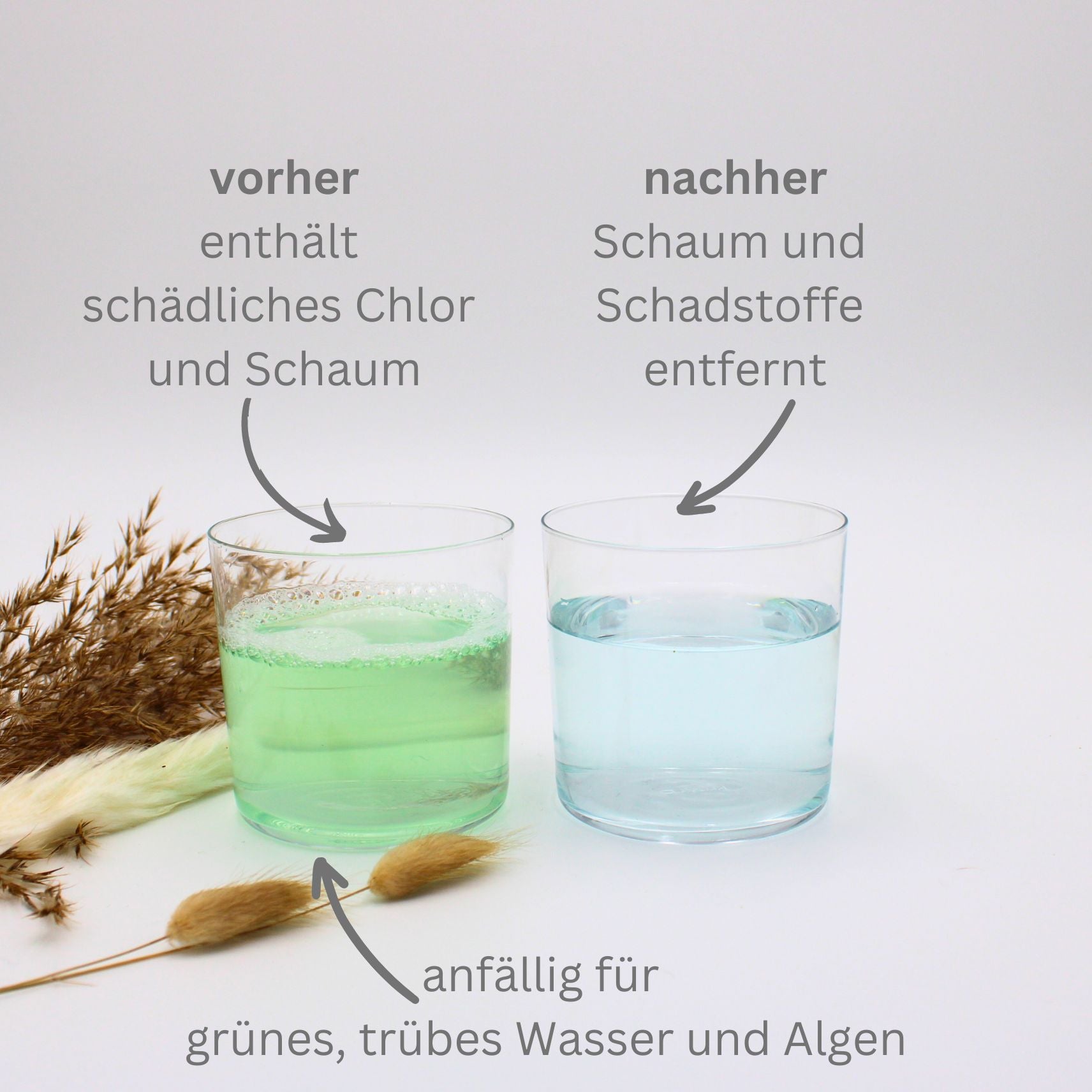 schadstoffe und schaum im teich entfernen vorher nachhher
