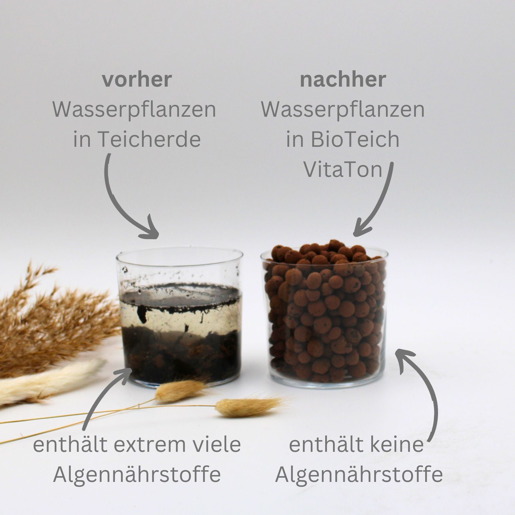 alternative dünger teichpflanzen vorher nachher