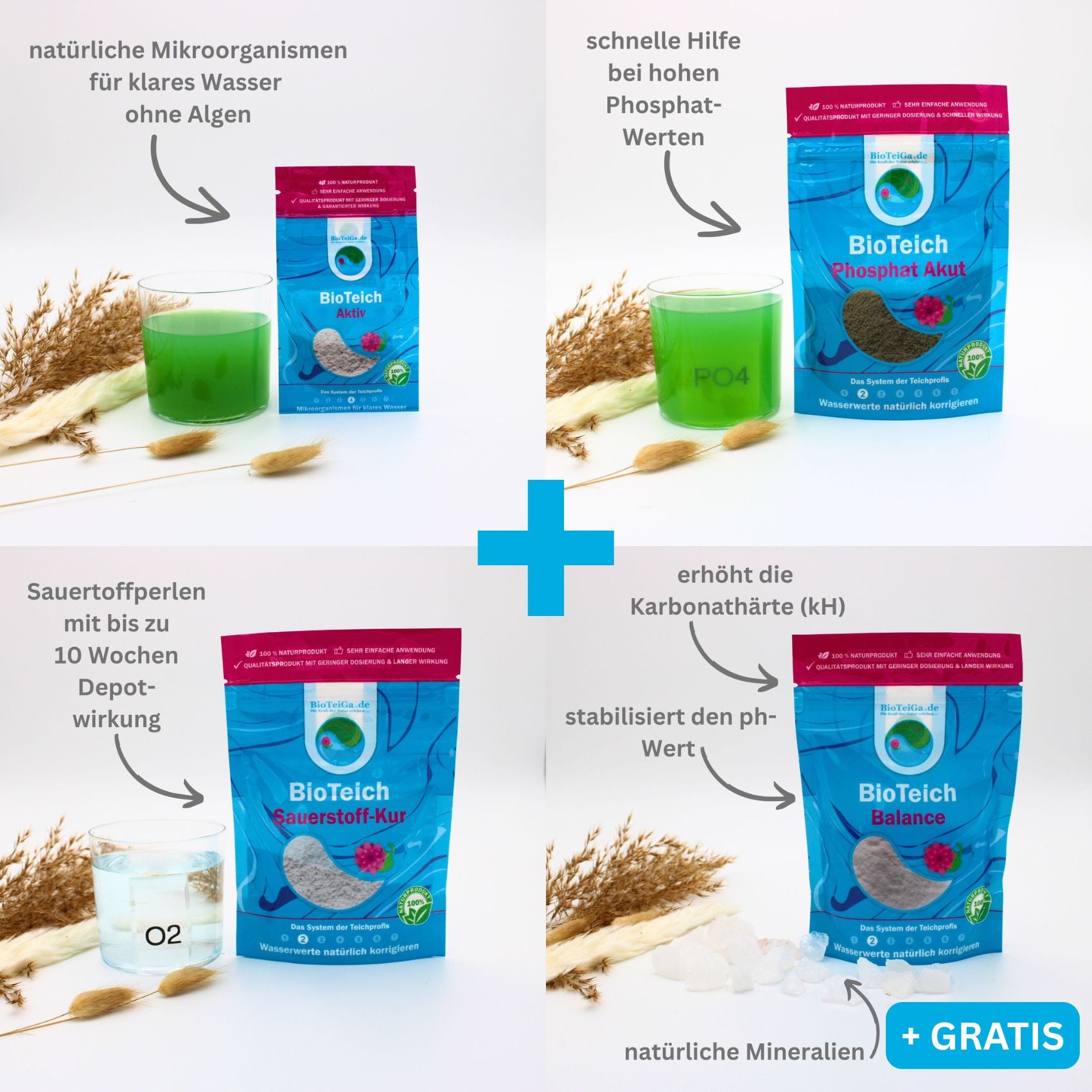 BioTeich Klares-Wasser-Set für Teiche
