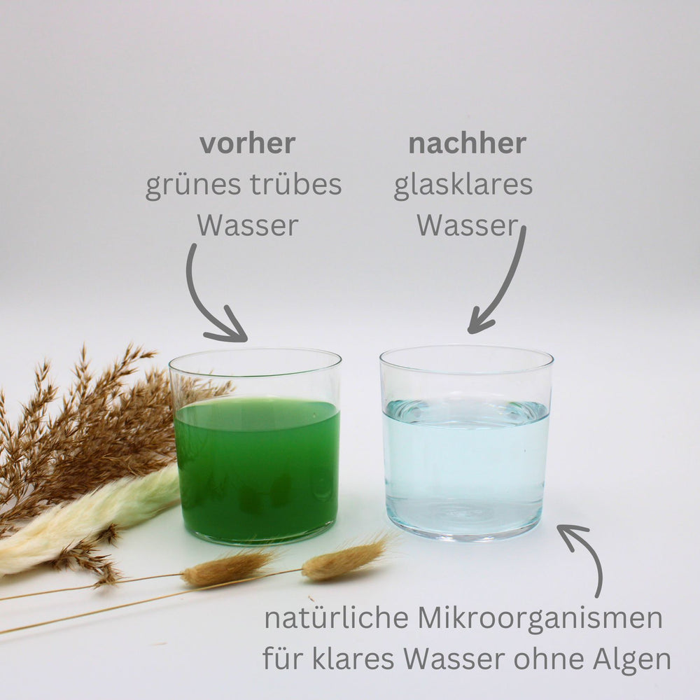 Teichpflege biologisch & umweltschonend I Alle Produkte